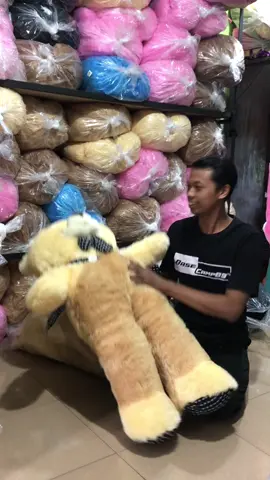 Jojon warna mocca #bonekajumbo #bonekaberuang #bonekapanda #kadoulangtahun #teddybear 
