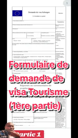 Réponse à @yvanlevine Partie 1: Formulaire de demande de visa Tourisme ou Affaires. #visashengen #visaaffaire #visaitalie 