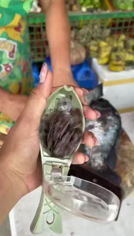 fish scale remover help you easily to clean the fish scale and save the time to cook #cook #kitchen #KitchenHacks #fishscaleremover #fishscale #easily #daily 