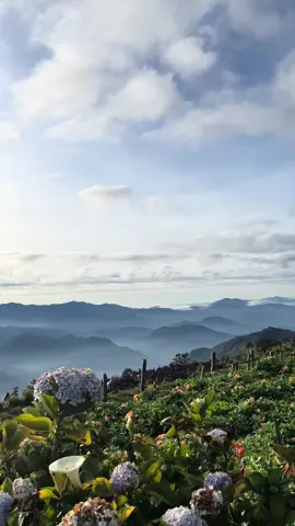 breathless view = holding breath sa journey 🥲 here’s Atok, Benguet’s view from the Northern Blossom Farm ✨ #travel #atokbenguet #mountainview #flowerfield #journey #destination 