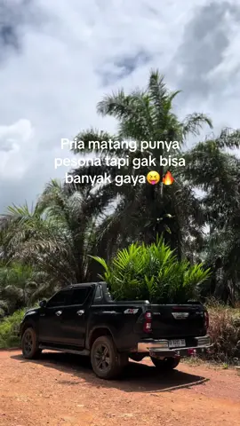 Ajarin bergaya bang #sawitontiktok #hilux #hilux4x4 #fyp #foryou #foryoupage #bossawit #sawitkalimantan #sanggau 