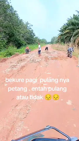 #sawitontiktok #sawitsumatraindonesia🌴🌴🌴 #palembangpride #driverstory🎥 