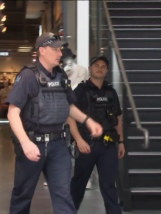 Authorities insist there is no need to be alarmed by a sudden surge in heavily armed police patrolling Rundle Mall. They say the increased presence will keep shoppers and retail workers safe after a stream of violent attacks. #Adelaide #7NEWS