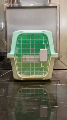 High quality and affordable small travel carrier cage for your furbaby. Check the yellow basket!  #petsneedsdepot #petproducts #travelcage #pettravelcarriercage #smallcage 