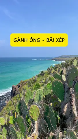 Gành Ông - Bãi Xép Phú Yên (Hoa Vàng Cỏ Xanh) ngày hôm nay 15/03 #phuyen #dulich #biển 