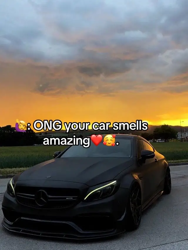 These will make your car smell amazing and everyone will love it i promise! #shoptiktok #TiktokShop #tiktokshopping #fypシ #fyp #fypシ゚viral #viral #ttshop #trending #fy #recommended #cars #air #airfreshener #goodsmell #breathe #ineedit 