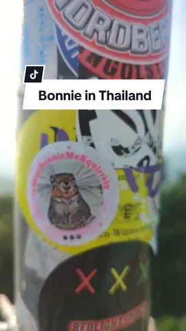 Bonnie's Thailand sticker invasion 🇹🇭❤️🐿️ #squirrel #traveltiktok #travellife #thailand #phuket #bangkok #pattaya #traveltok #stickermule 