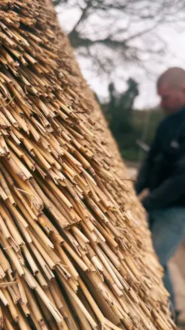 A few finishing touches 🤌🏼 #thethatchingguy #alright #thatching #thatch #barber #dress #finish #asmr #satisfying #fyp #fypシ 
