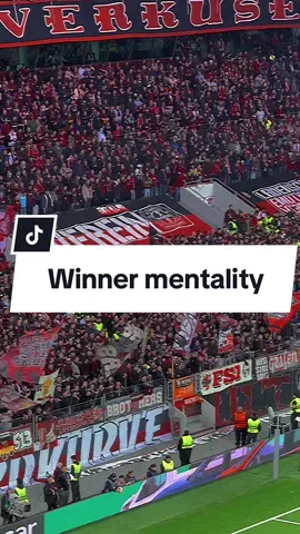 WHAT A NIGHT FOR @bayer04  Boys, how do you do it?!  We were present again at a Leverkusen game and wow, it was definitely not for weak people.  There is something special about this team, the players, the coach, and the fans. Wow, the fans, who did not stop a second from singing!!! All the ingredients create a perfect environment to nourish pure emotion!  #bayer04 #leverkusen #xabialonso #uefa #uefaeuropaleague #stadium #football #sportsjournalism #sports #sportstiktok #bundesliga #ultras #championsleague 