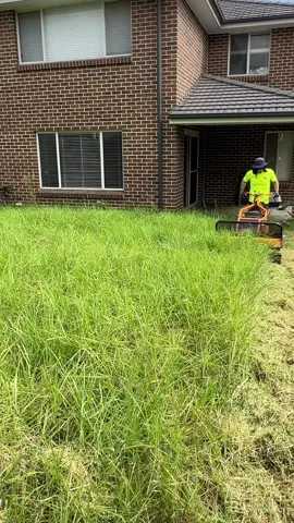 The proper way to leave an overgrown lawn after cutting it. #freemowfridays #certifiedlawndetailer #noslashndashhere #satisfying