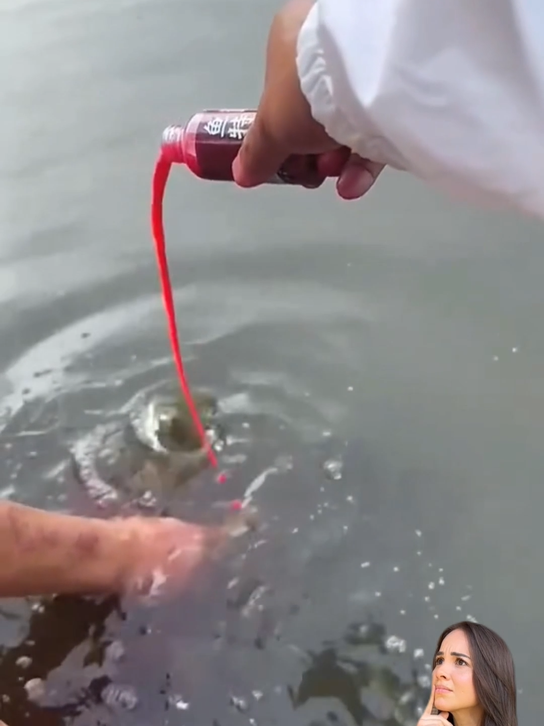 Fishing liquid