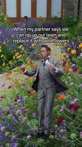 Wildflower lawn, here we come 🌼🪻🌸 #sustainable #EcoFriendly #MemeCut #pollinators #grasslawns #lawntok #landscaping #meadow #MemeCut #Meme  