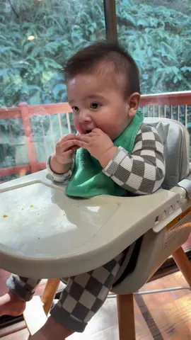 #7months #7monthsold #baby #feed 