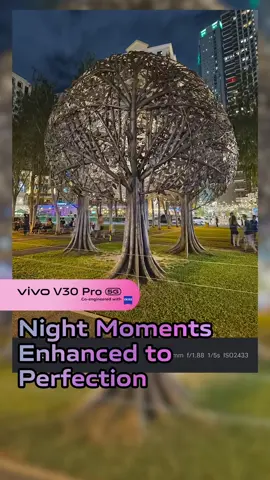 Transforming the ordinary into extraordinary with the vivo V30 Pro nightography #PortraitMasterwithZEISS #vivoZeissV30Pro5G #fyp #foryourpage