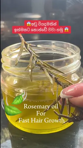 Speed up hair growth with Rosemary hair oil 💆🏻‍♀️ #hairgrowth #rosemary #cloves #hairloss #hairthinning #tiktokvlog #diytiktok #hairtok #haircaretok #alopecia #baldspots #amawijayasinghe #srilanka #sinhalatiktok #sinhalabeauty #sinhalahaircare #haircaretok #fyp #sinhalabeauty #mane #manegrowth #rosemaryhairgrowthoil #rosemaryoil #fasthairgrowth 
