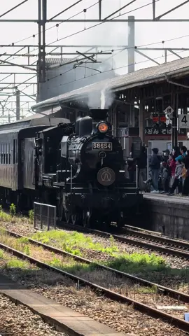 鹿児島本線鳥栖駅に到着するSL人吉号。ラストランまで、あと1週間となりました。 #鉄道 #蒸気機関車 #SL #sl人吉号 #鳥栖駅 #鳥栖 #鹿児島本線 #JR九州 #佐賀県 #日本 #train #steamlocomotive #tosu #saga #kagoshimaline #jrkyushu #japan