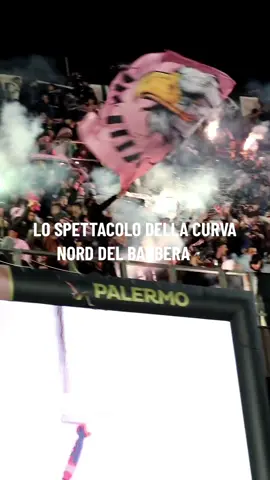 Entusiasmo e passione! Lo spettacolo della curva Nord del Barbera @Palermo F.C. #calcio #calciotiktok #curvanord #football #calcioitaliano 