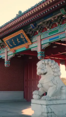 Shanghai Jiao Tong University, is this your dream university? #ShanghaiJiaoTongUniversity  #DreamSchool #上海 #shanghai