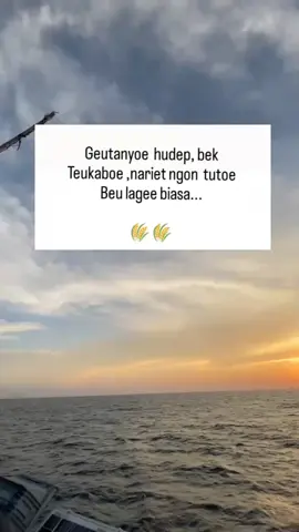 #fyppppppppppppppppppppppp #pepatahaceh #habaindatu #pepatahaceh #foryoupage #bahasaaceh #habaaceh #pepatah #aceh #katakata #aceh #foryou #acehviral #fpyシviral 