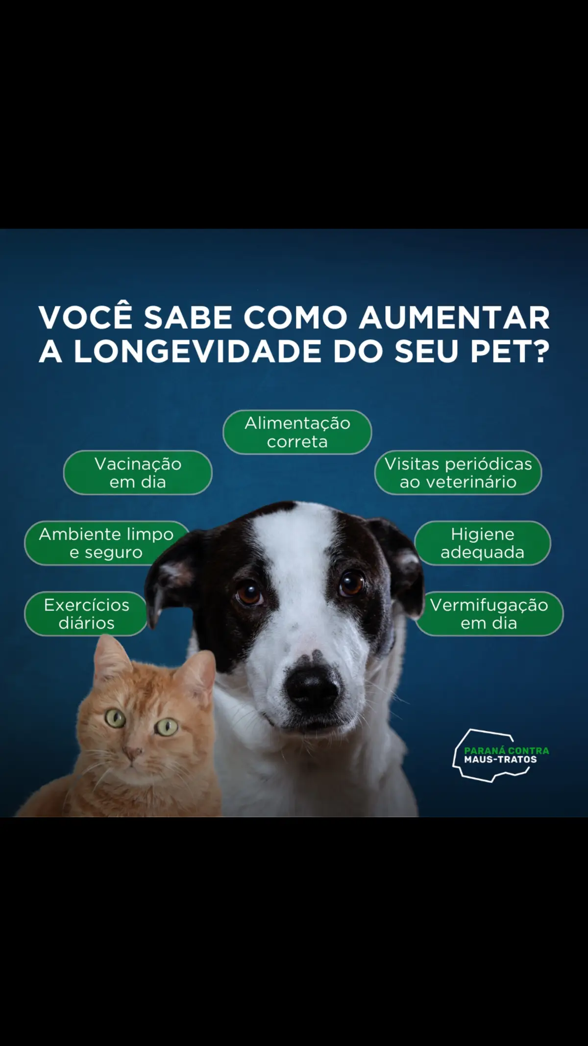 Cuidado e amor. Conforme o tempo vai passando, o seu animal vai ficando mais velho e consequentemente mais propenso a doenças. Por isso, é necessário saber como aumentar sua expectativa de vida. E claro, tudo isso depende da criação. Além da alimentação e da saúde, é excepcional a importância de levar o seu pet para passear, pois essa é a hora dele manifestar seus instintos e gastar sua energia. Tanto a saúde física quanto a mental são importantes, então não esqueça de deixar alguns brinquedos e acessórios dentro de casa. Levá-los periodicamente ao veterinário e manter a vacinação em dia, são imprescindíveis para longevidade dos nossos animais Se preocupe com seu companheiro <3