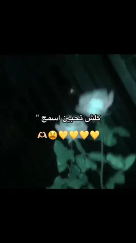 الي طلبو اسم رسل #رسل #باسم_الكربلائي #اسماء_بنات #مالي_خلق_احط_هاشتاقات #الشعب_الصيني_ماله_حل😂😂 #ترند #تابعوني_فضلا❤ #اكسبلور 