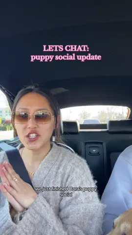 poor patrick🤣 but kora is becoming so much more confident since we started coming to these socials🥹 #letschat #dogmom #puppytiktok #puppytraining #dogsocialization #dogsoftiktok 
