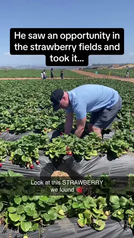 THIS is the cutest strawberry I have ever seen 🍓🤣 #Pubity Enjoy this content? Then drop us a follow as we post stuff like this all the time! ❤️  (@Lyddiupp via @BVIRAL)