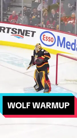 Did you know a Wolf can jump up to 12 feet? 🐺  🎥:@Calgary Flames  #NHL #HockeyTikTok #SportsTikTok #CalgaryFlames #DustinWolf  