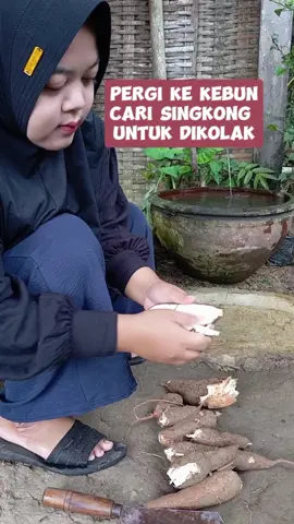 post ulang nih kemarin dihapus tiktok .keladang cari singkong lanjut membuat kolak singkong untuk menu buka puasa🥰 @Raja Pulsa Official  #dailyvlog #kolaksingkong #reseptakjil #rajapulsa 