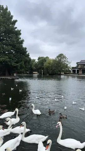 #لندن🇬🇧 #منظر_جميل 