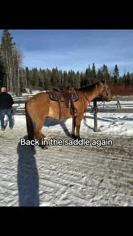 It’s always great to get back into the saddle again at Moose Mountain horseback!! We are avid experienced riders and have been going here for years. Even asked if i could help with some osteo on their horses 🐴 for my equine stream. #horse #horsebackriding #braggcreek #horseriding #alberta #thingstodoinalberta #travelalberta #ridinghorse #westernriding #backinthesaddle 