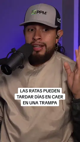 @Fumigador Bonito ♥️ #gusgripodcast #fumigadorbonito #fumigador #ratas #ratones #trampas #plagas #gusgri 