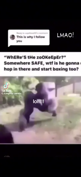 #lol #funny #texas2k #howtohandleabearattack #fyppppppppppppppppppppppp 