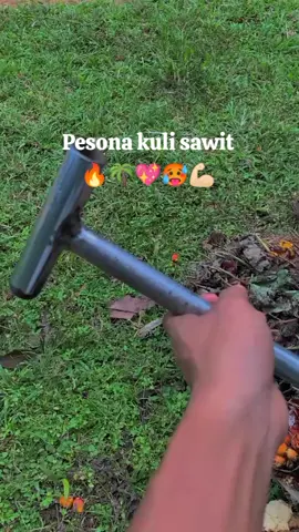 #fypシ #fypage #sawit  #fyppppppppppppppppppppppp  #storysawit 