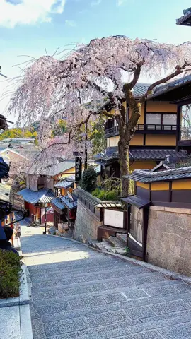 Sannenzaka -産寧坂- Kyoto, Japan🇯🇵 📸@s_ken.ken #japan #japantravel #japantrip #kyoto