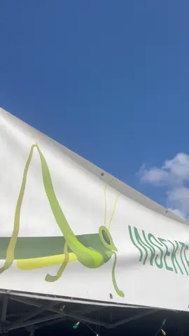 Oh, da sind ja Würmer im Essen.....MOMENT MAL! 😳 Würdest du dich trauen Insekten zu essen?! Das gibts nicht nur beim Dschungelcamp, sondern auch ganz nah auf deinem Foodtruck Festival! 🐛🍋 ________________________________ #fyp #foryou #foodtrucks  #streetfood  #entertainment  #livemusik  #party  #food  #drinks  #festival #foodblog #newtiktoker