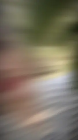 #CapCut 