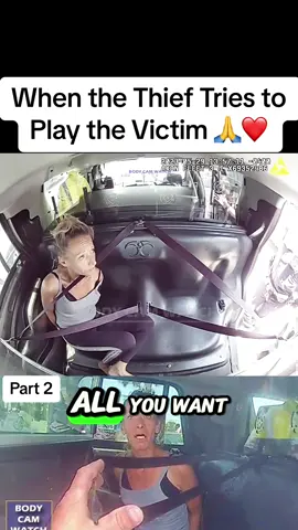 When the Thief Tries to Play the Victim