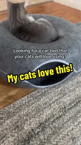 My cats use this bed constantly! They love it! I bet yours will too! #catsoftiktok #catbed #tiktokshopfind 