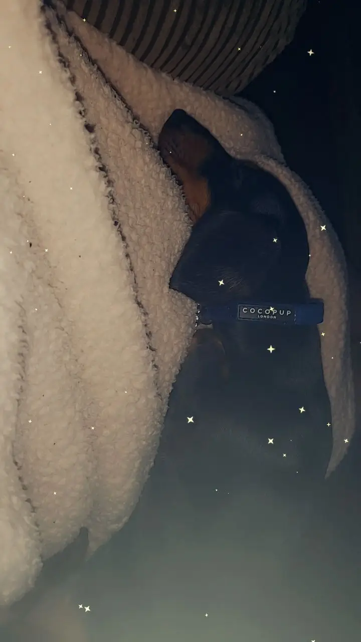 🥰🥰🥰🥰