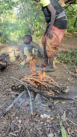 Hadzabe Tribe eat these edible plant roots to survive when they don't find any other food in the forest #hadzabetribe #hadzabe #africantribes #bushlife