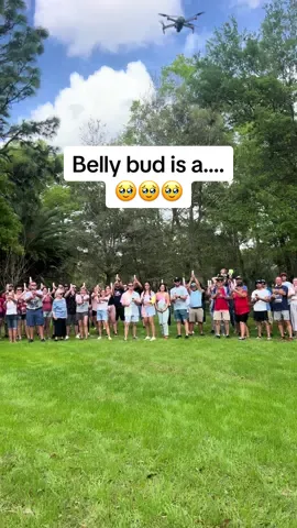 Replying to @Just Jess belly bud is a…. 🥰 #danandsam #surrogate #surrogacy #pregnant #pregnancy #genderreveal #genderrevealparty 