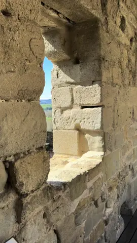 Esta pequeña ciudad al sur de Francia parece sacada de una seria o pelicula y es que es el típico ejemplo de ciudad medieval. Se trata de la coudad de #carcassonne que vuen nerece una visita para conocer sus calles empedradas, su castillo y torres que haran que creas que estas protagonizando una historia del medievo. #lugaresincreibles #viajar #viaje #pueblosmagicos #lugaresbellos #medieval @Carcassonne Tourisme 🏰 