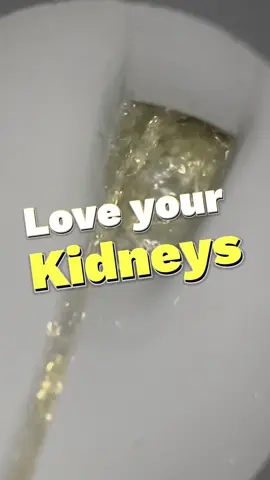 Hydrate yourselves ppauls! Info source: Strasinger 6th ed #KidneyHealthForAll #WorldKidneyDay #urinarytractinfection #uti #urine #nephrology #science #medtok #medph #fyp #medicina #health #kidney #ckd #dialysis how to spot disease #disease #kidneydisease #viral #trending #CapCut 