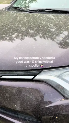 My car is soo grateful for this easy to use wax spray 🥰😍 #fyp #car #cardetailing #carwash 