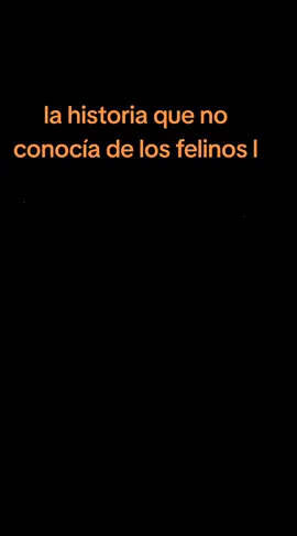 #lahistoriaquenoconocias #losfelinos #nostalgia  #romanticos  #cancionesdelayer2453 