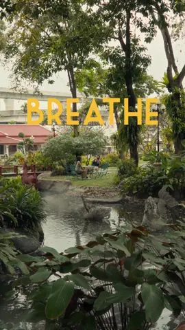 Calm down and breathe 😌 #cinematic #sonyalpha #filmmaker #thailand 