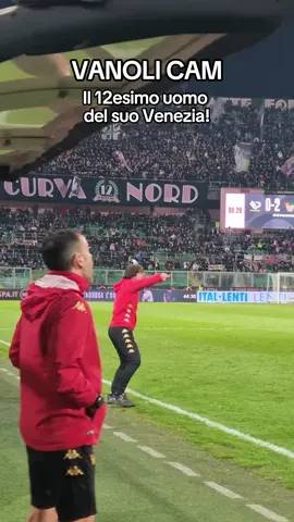 Mister Vanoli scatenato negli ultimi minuti di Palermo - Venezia 🤯 #tiktokcalcio #calciotiktok #calcio #calcioitaliano @veneziafc.official