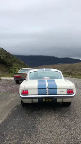 Classic Mustangs in the Highlands of Scotland 🏴󠁧󠁢󠁳󠁣󠁴󠁿 visit www.retroclassiccar.com for more details. #RetroClassicCar #FordMustang #Mustang #Roadtrip #Scotland #V8Sound #MustangFastback #FordMustang #ClassicMustang #Ford #ClassicFord 