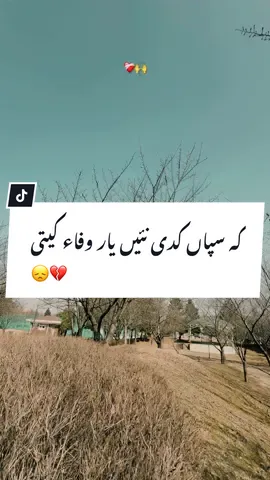 کہ سپاں کدی نئیں یار وفاء کیتی💔😞#tiktok #foryou #shayari #poetry #fypシ #trendingvideo #trending #urdupoetry #unfrezzmyaccount #haiderwrite_s @TiktokPakistanOfficial 
